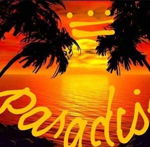 Meet your Posher, Frankie